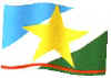 Bandeira de Roraima
